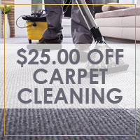$25 off any carpet cleaning including 3 or more areas