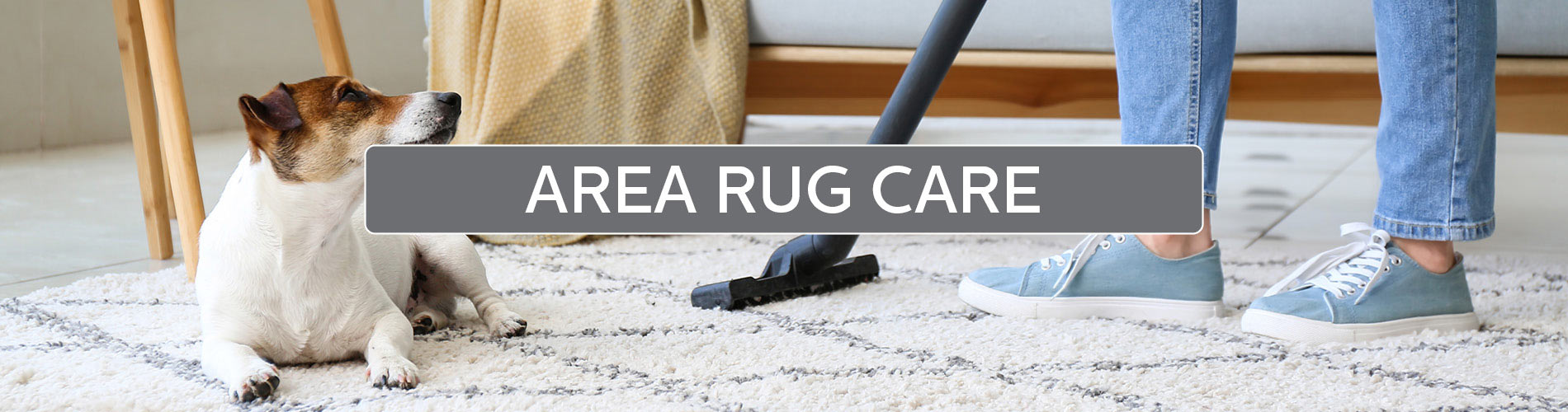 Area Rug Care to keep them looking beautiful!
